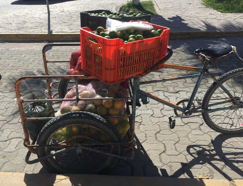 Bikes of the Yucatan 7