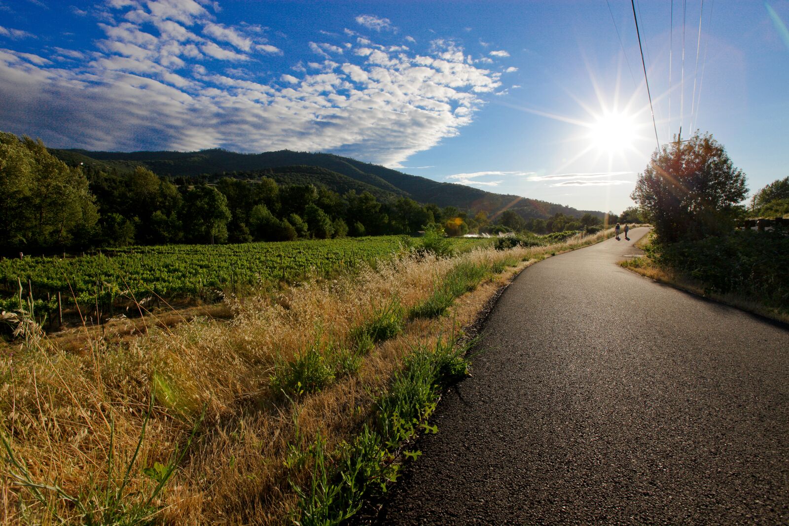 The views along the Bear Creek Greenway, a bicycle path that spans 40ish miles, winds through vineyards, along Bear Creek, and connects much of the neighboring cities. 