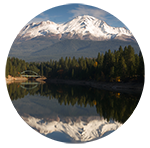 shasta